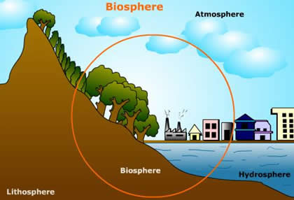 Image result for biosphere images