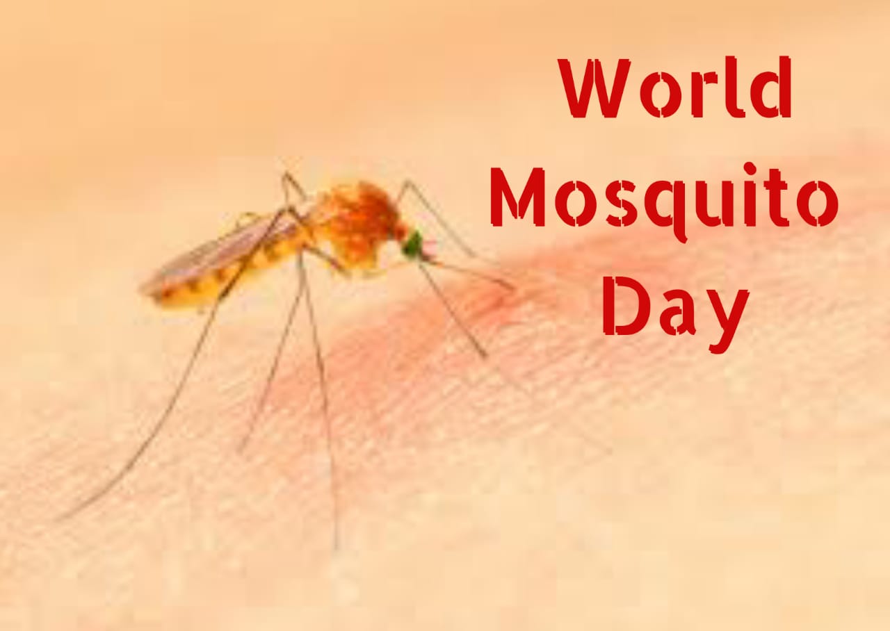 Best World Mosquito day Images 2021