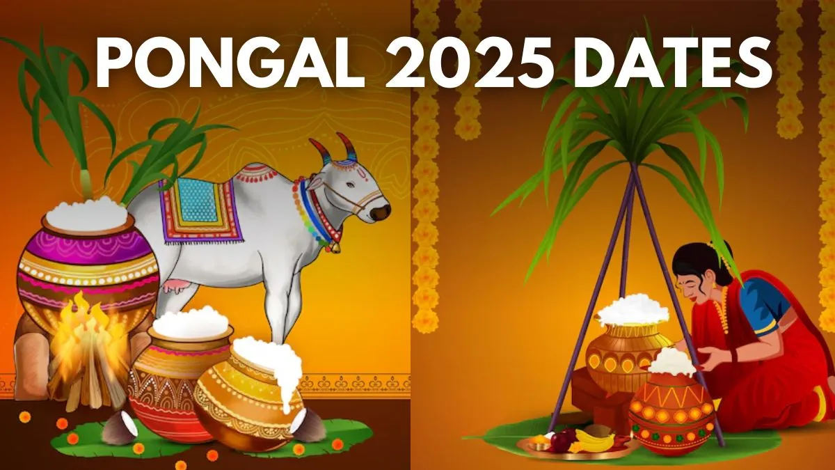 Pongal 2025 – daneelyunus